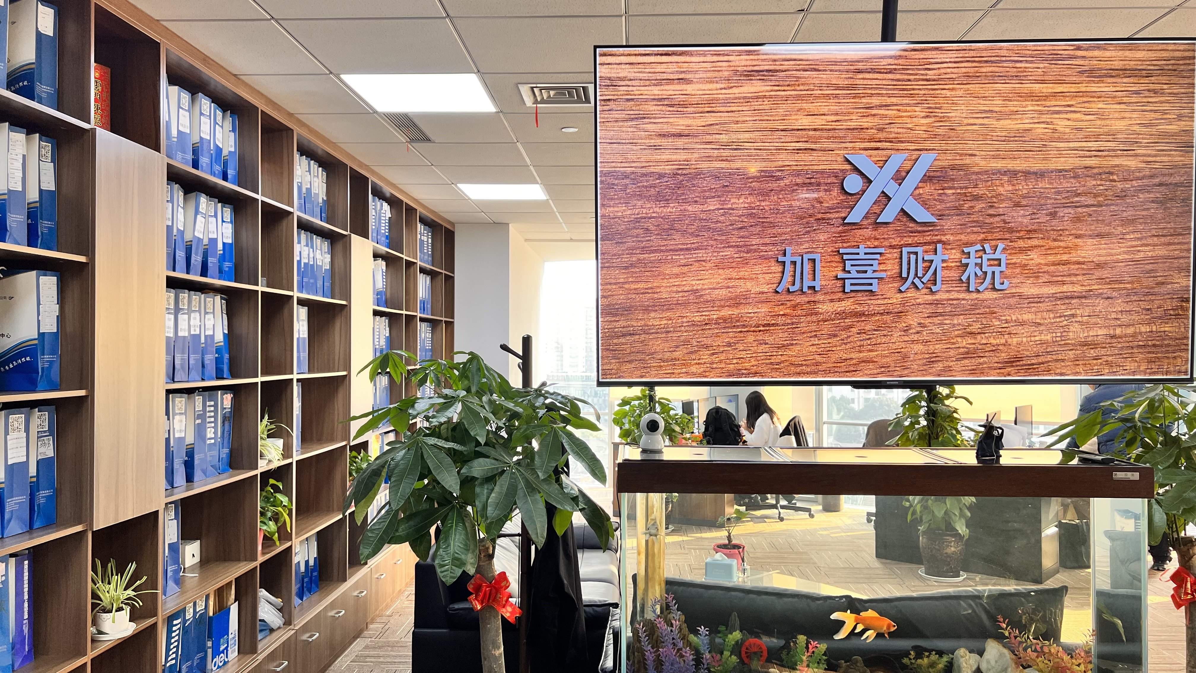 知识产权保护服务